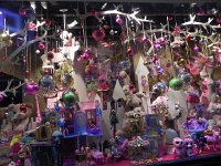 Nikon Coolpix 102  I&#39;m wondering if this is in our future